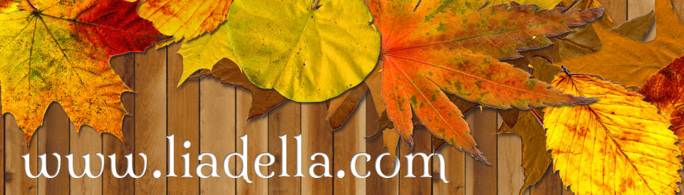 liadella-2014 header image