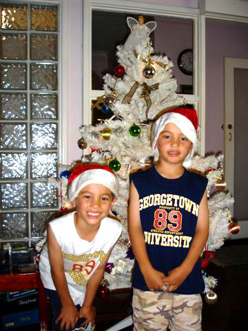 tc_xmas_tree_white.jpg