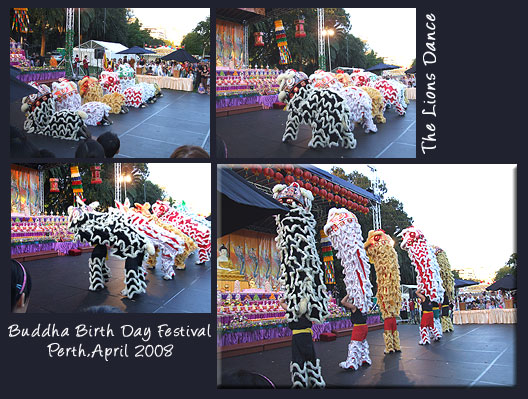 budhafesti08_lionsdance.jpg