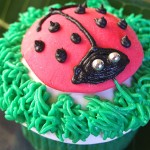 ladybugcup