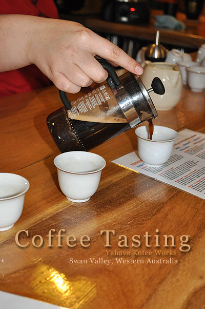 coffeetasting coffeetasting