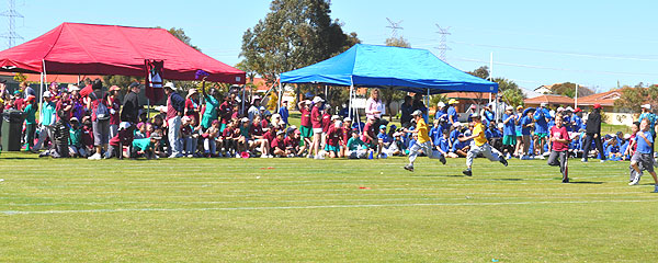 race2 race2