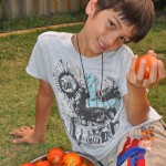 camtomato1