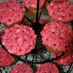 hydrangeashotpinkcupcakes